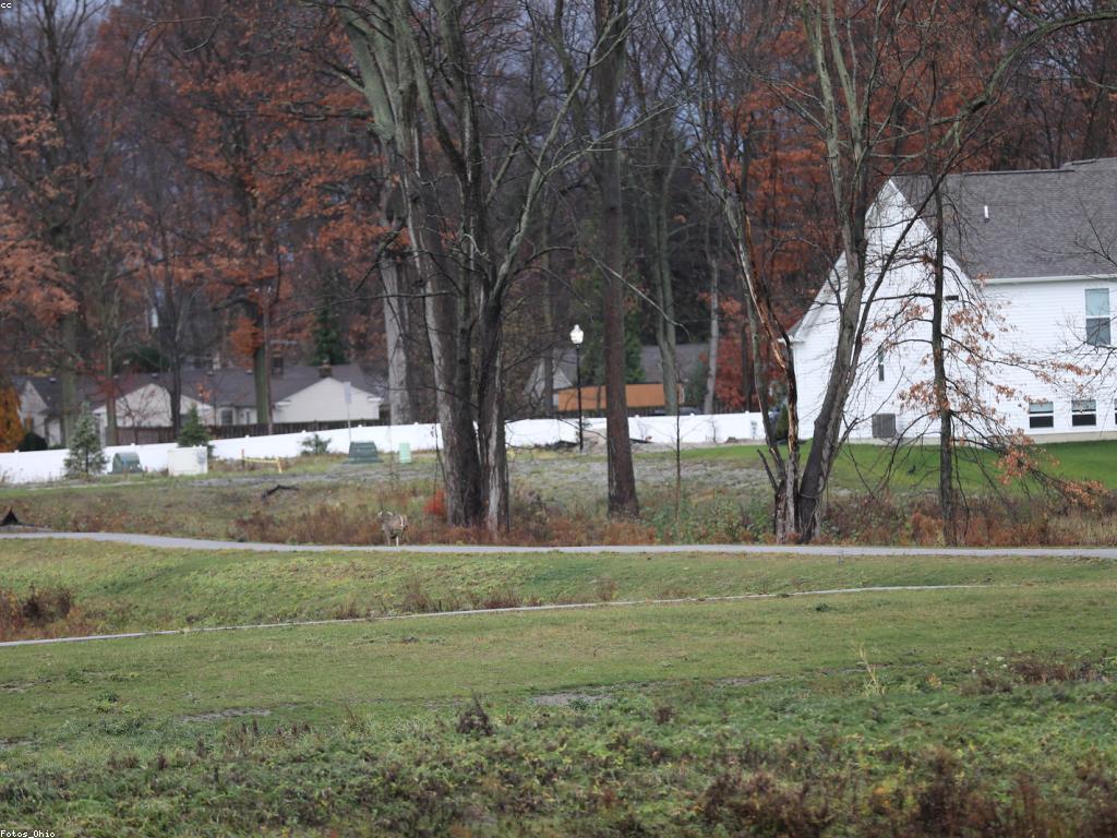 ការស្រាវជ្រាវអំពីបទពិសោធន៍អ្នកលេង