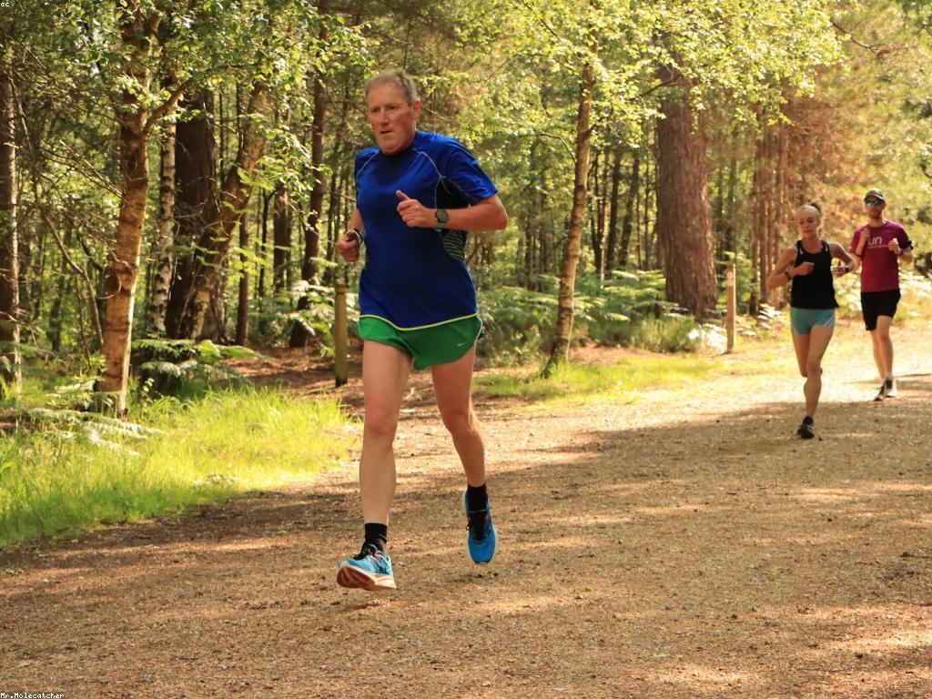 គន្លឹះសម្រាប់ការលេង: យុទ្ធសាស្ត្រ និងការលេងដើម្បីបង្កើនការកំសាន្ត